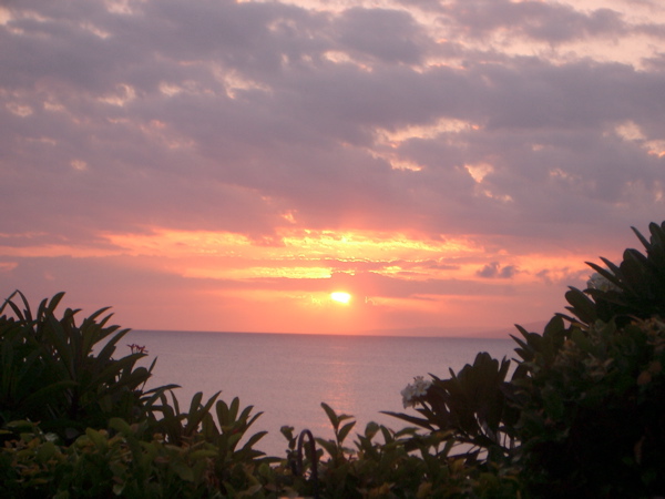 sunsetmaui_1.jpg